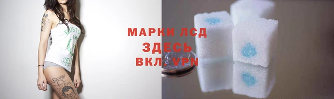 МДМА Белокуриха