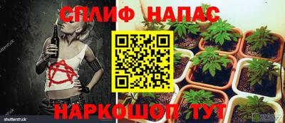 прущая мука Бийск