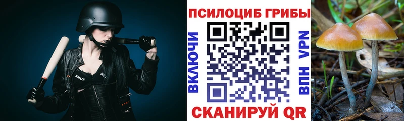 MEGA как войти  Верхняя Пышма  Галлюциногенные грибы GOLDEN TEACHER 