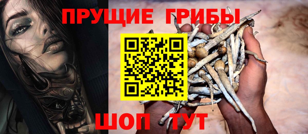Псилоцибиновые грибы Magic Shrooms  Вход с VPN  Галлюциногенные грибы Magic Shrooms  Верхняя Пышма 