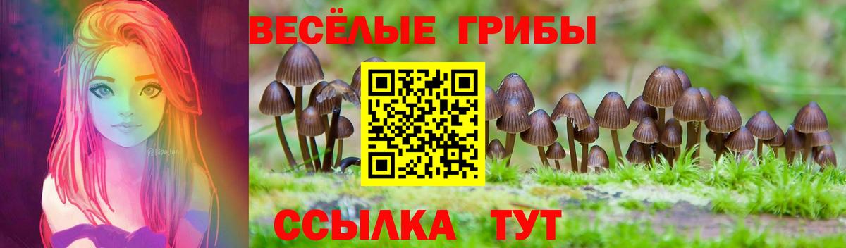 Галлюциногенные грибы Cubensis Верхняя Пышма